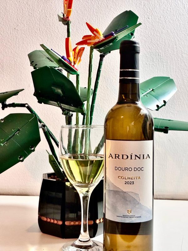 Vinho Ardínia Branco 2023 DOC Douro - Imagem 5