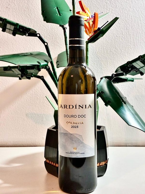 Vinho Ardínia Branco 2023 DOC Douro - Imagem 2