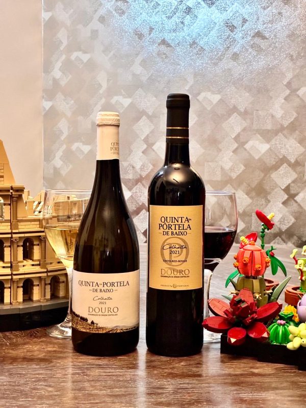 PROMO de inauguração!!! Combo Duo: Vinho Quinta da Portela de Baixo Branco e Tinto 2021 DOC Douro - Imagem 7