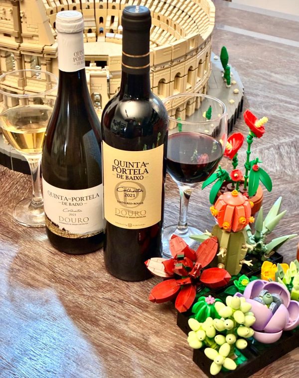 PROMO de inauguração!!! Combo Duo: Vinho Quinta da Portela de Baixo Branco e Tinto 2021 DOC Douro - Imagem 6